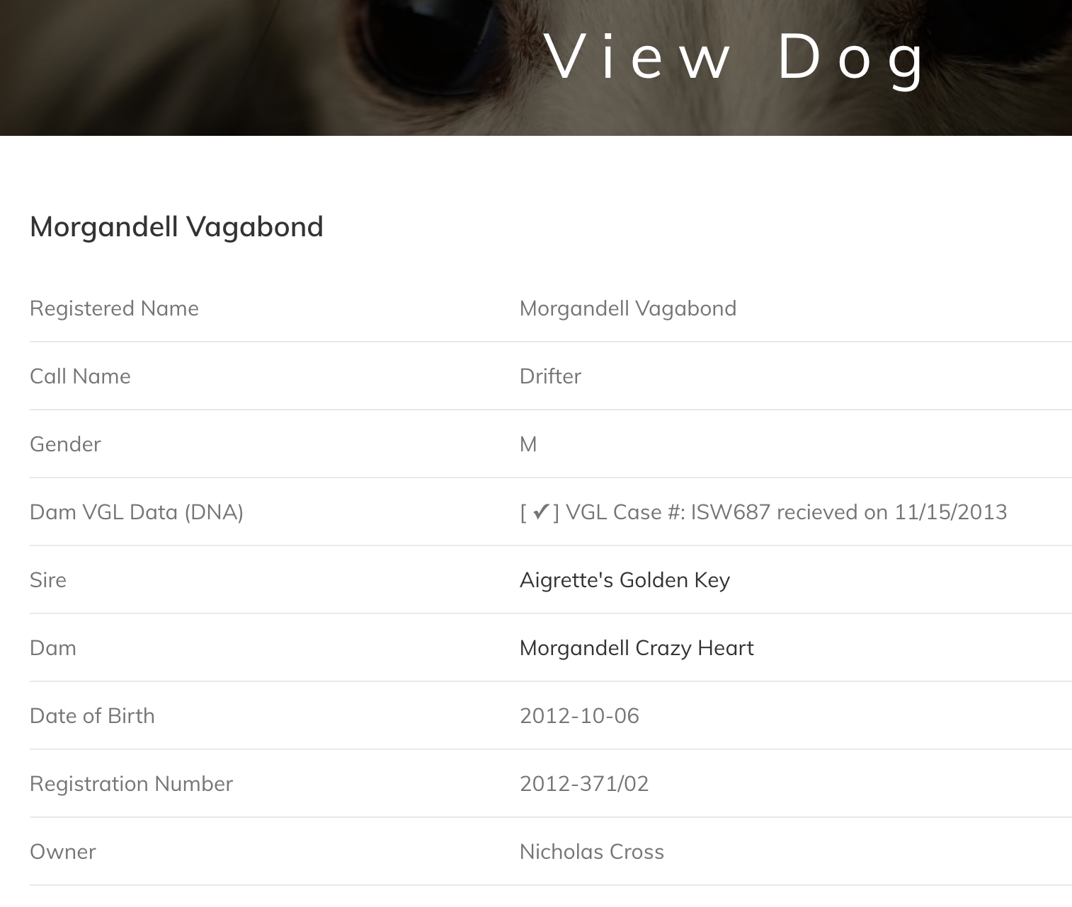 An example of the view dog page