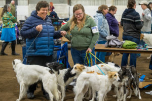 Read more about the article April UKC Shows